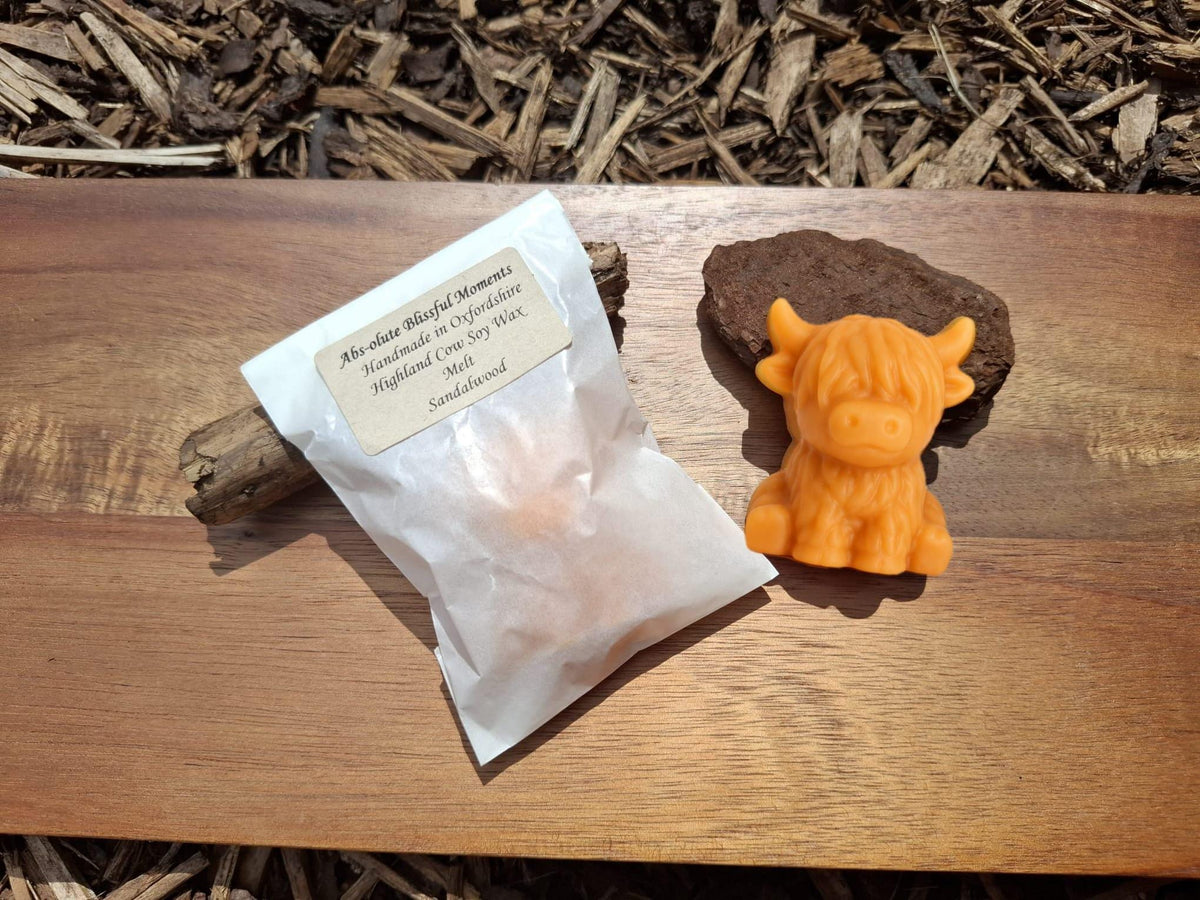 Wax Melt Shapes