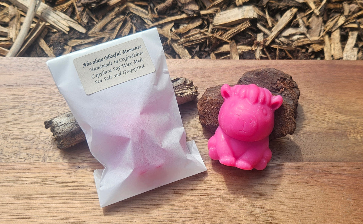Capybara Soy Wax Melt in Sea Salt and Grapefruit Scent