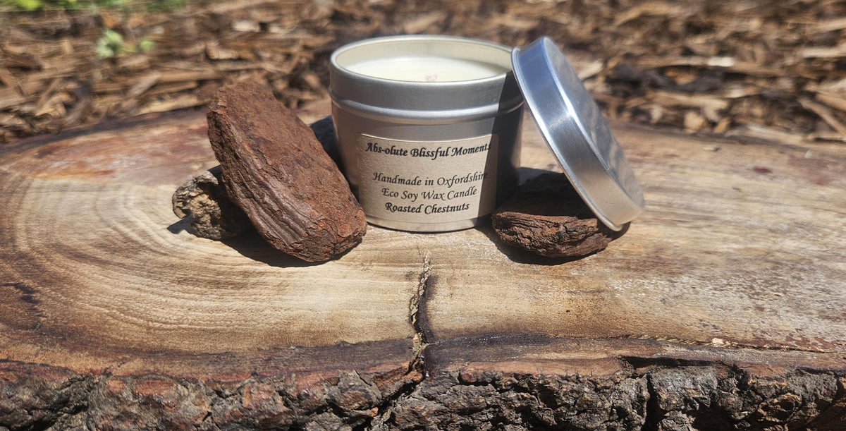Roasted Chestnuts Scented Soy Wax Candle in Tin