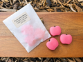Spiced Apple Scented Soy Wax Melts
